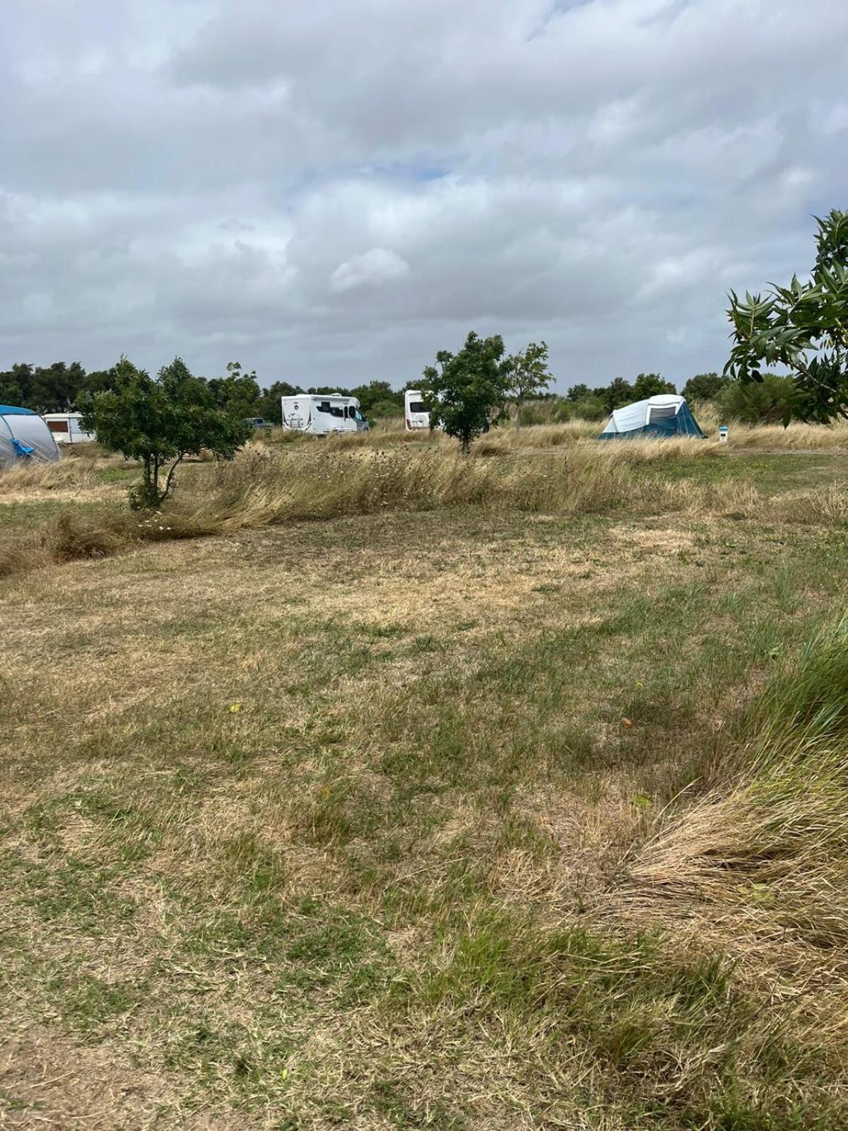 Camping Animal King Esnandes Eksteriør bilde